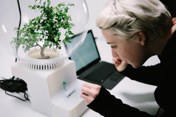Así es la máquina de Microsoft que te permite hablar con tus plantas 1 Proyecto Florence