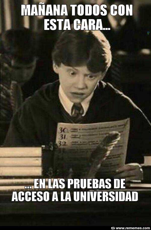 whatspp memes junio