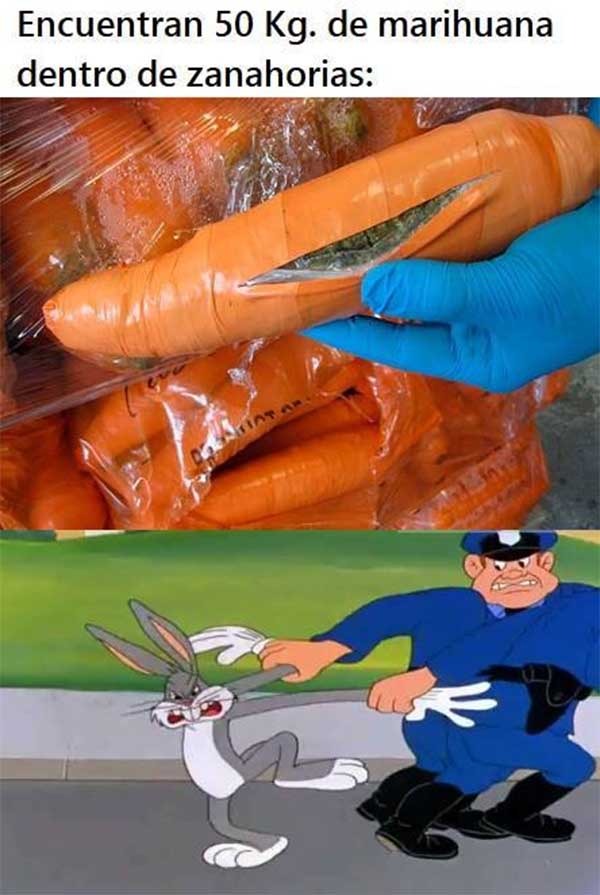 Los mejores memes de la semana vistos en WhatsApp y redes sociales 6 whatsapp memes junio