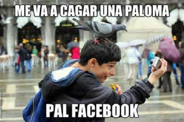 Los memes más divertidos vistos esta semana para compartir por WhatsApp 11 Memes