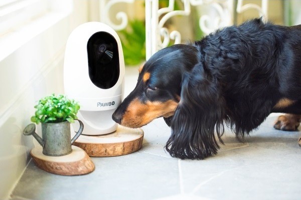Acer PawBo+, una cámara inteligente para jugar con tu mascota