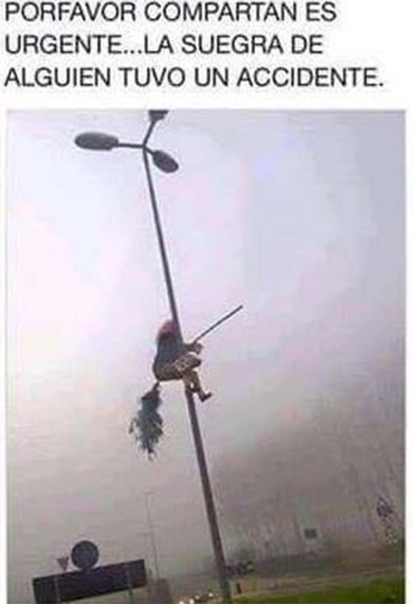 Estos son los mejores memes de la semana para compartir por WhatsApp 5 memes agosto