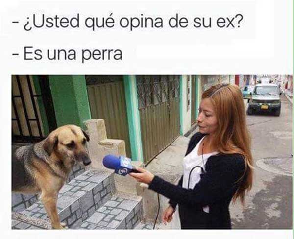 Estos son los mejores memes de la semana para compartir por WhatsApp 7 memes agosto