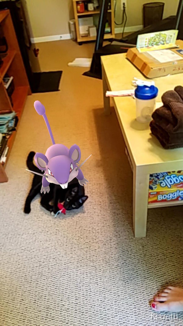 rattata