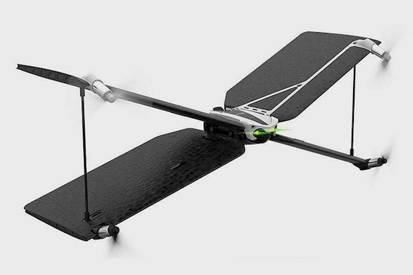 Parrot Swing