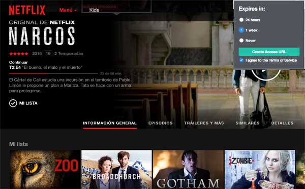 netflix_accessurl