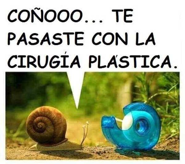 Los mejores memes de la semana vistos en WhatsApp o Twitter 4 whatsapp memes septiembre