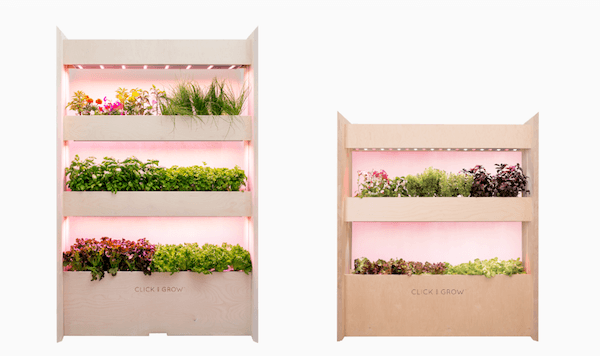 Cultiva tus verduras en casa con solo un clic 1 clic grow