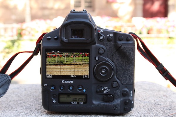 Canon EOS-1D X Mark II, la hemos probado 19 Canon EOS-1D X Mark II