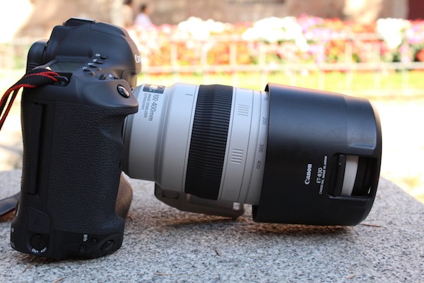 Canon EOS-1D X Mark II, la hemos probado 6 Canon EOS-1D X Mark II