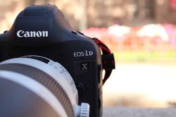 Canon EOS-1D X Mark II, la hemos probado 18 Canon EOS-1D X Mark II