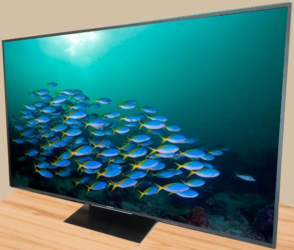 Sony Bravia ZD9 otra vista