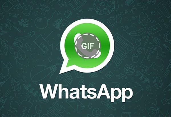 Guí­a sencilla para enviar GIF a través de WhatsApp