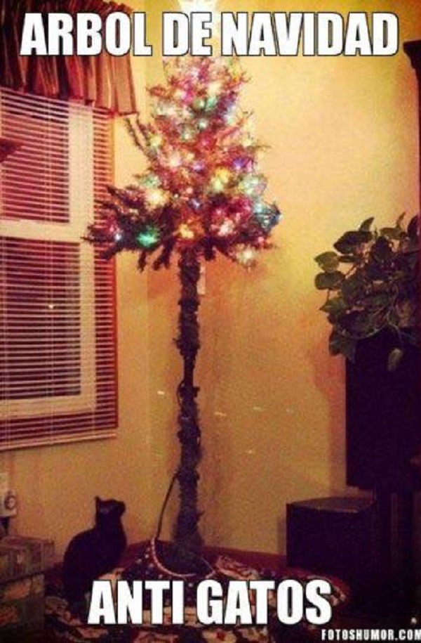 Los memes de la semana vistos en WhatsApp 5 arbol navidad