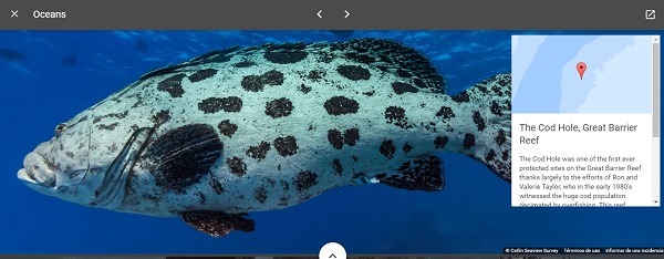 Google Maps, cómo explorar Marte, la Luna o el fondo marino 4 Google Océanos