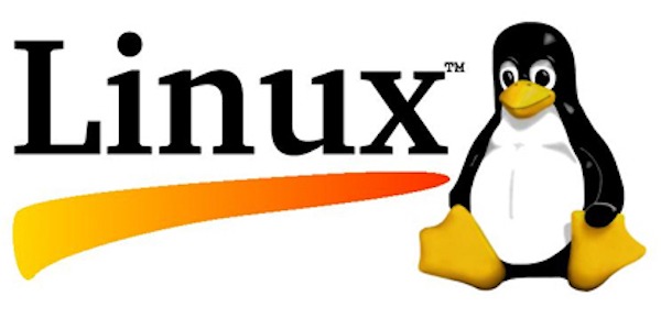Los discos en Linux se pueden hackear presionando la tecla intro