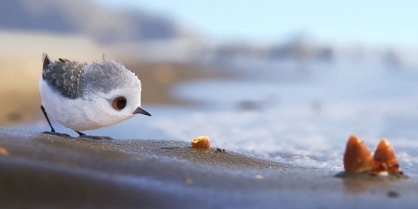 Piper, el nuevo corto de Pixar que arrasa en Internet 1 Piper