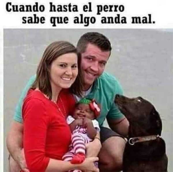 Los mejores memes para compartir por WhatsApp o Facebook 7 whatsapp memes noviembre