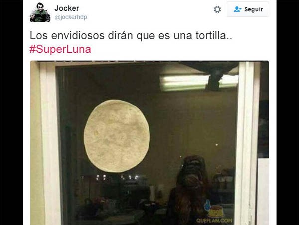 Los mejores memes de la semana para compartir por WhatsApp 2 whatsapp memes noviembre