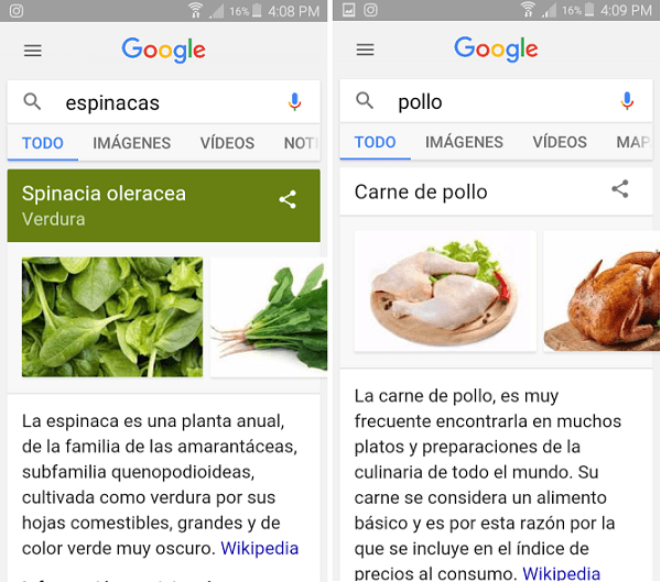 búsquedas alimentos google