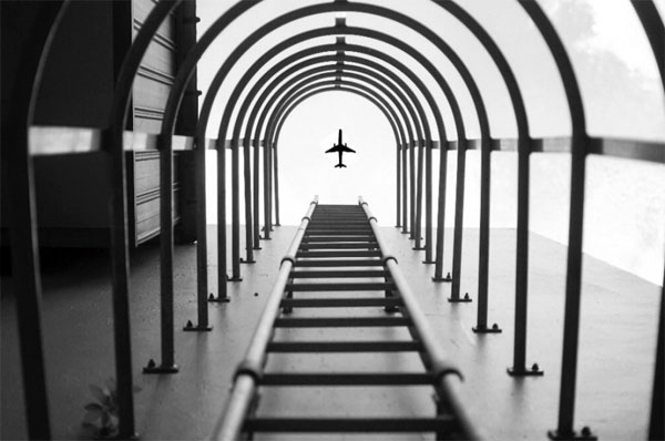 Los fotomontajes virales más falsos del 2016 6 avion