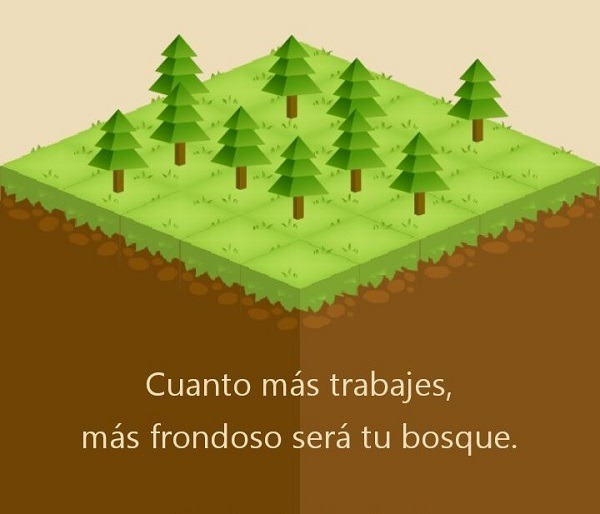 forest app 3