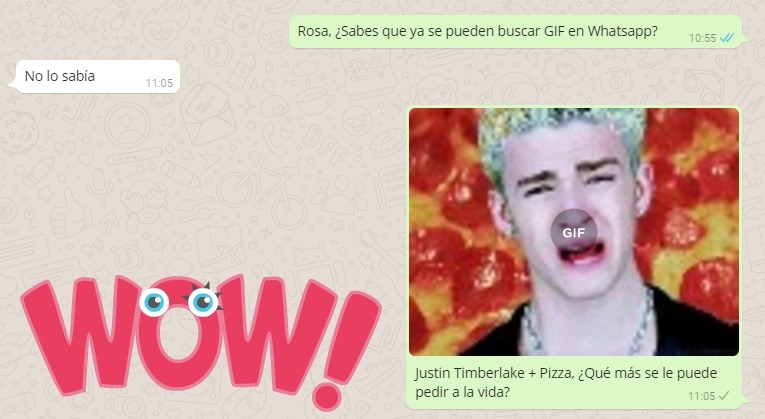 Ya puedes buscar y mandar GIF desde Whatsapp 1 Ya puedes buscar y mandar GIF desde Whatsapp 1