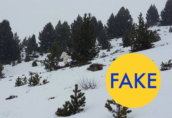 Los fotomontajes virales más falsos del 2016 11 yeti