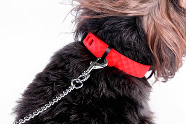 Kyon, collar inteligente para dueños preocupados por su perro 3 Correa KYON