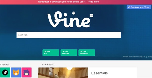 Hoy cierra Vine, ¿es el fin del micro vídeo? 1 Vine Web