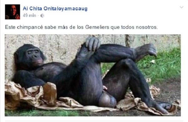 Así se fraguó el troleo al evento de Facebook de los Gemeliers 3 gemeliers meme