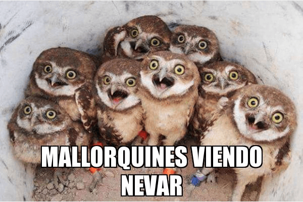 Los mejores memes y chistes por la ola de frí­o para WhatsApp 4
