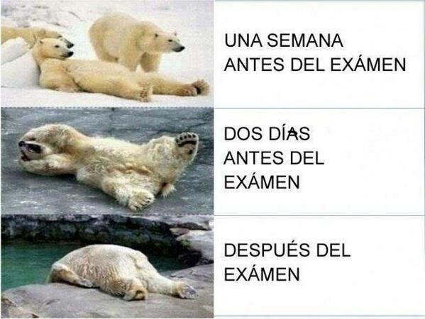 meme examenes despues navidad
