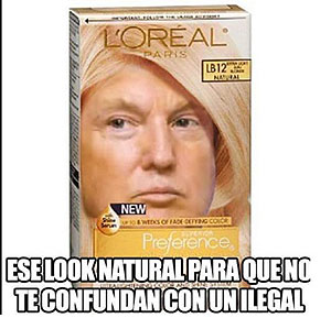 Los memes más divertidos de la semana para WhatsApp 6 Donald Trump meme