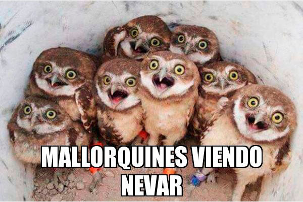memes de la semana frio mallorca