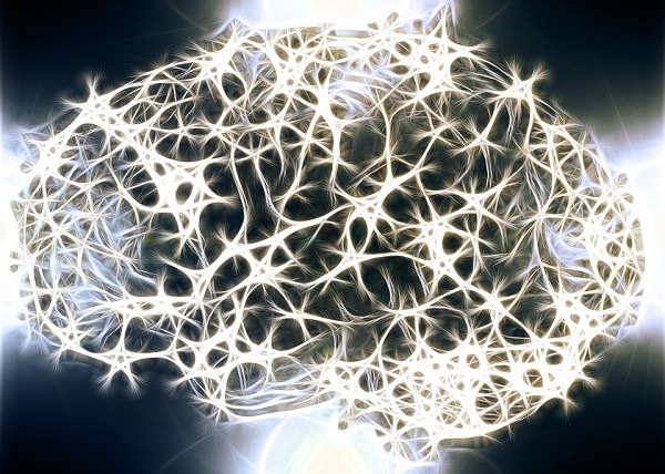 Un sistema que promete mejorar la vida de los pacientes con párkinson 3 circuitos neuronales parkinson