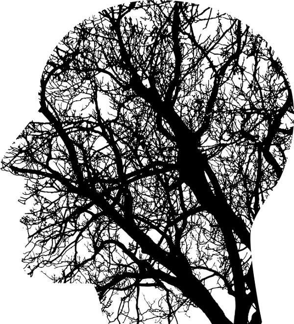Un sistema que promete mejorar la vida de los pacientes con párkinson 2 parkinson cerebro