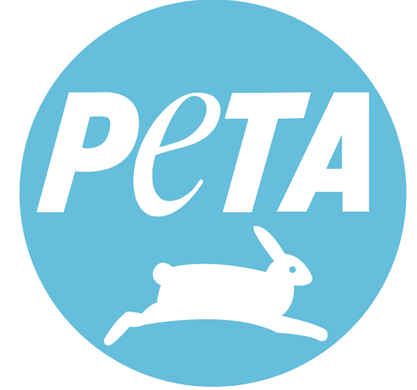 El polémico vídeo de un perro maltratado al grabar una película familiar 3 peta logo