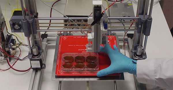 Crean una impresora 3D capaz de imprimir piel humana 1 impresora 3d piel humana