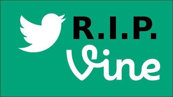 vine rip