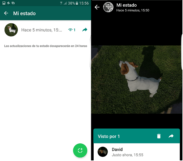 Visto estado whatsapp