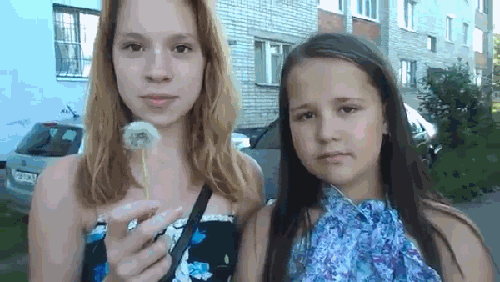 gifs divertidos