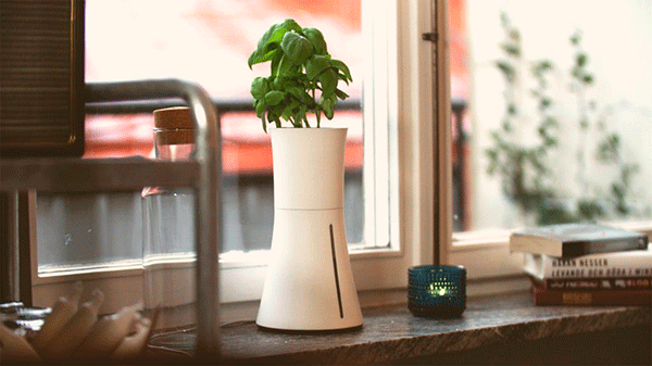 Si eres un desastre al cuidar plantas este gadget te salvará