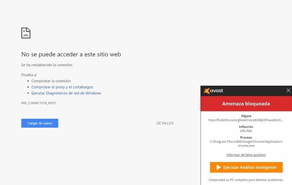 Todo Canis, un falso foro para canis con 200 virus 3 todo canis virus