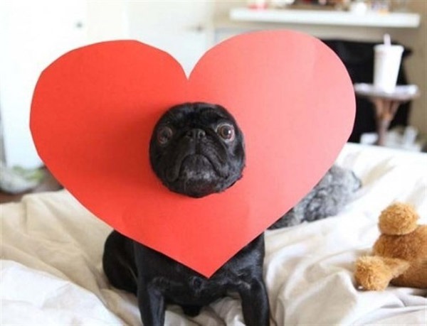 Las felicitaciones de San Valentín más cachondas para reírse de Cupido 3 San Valentín 2017 Felicitación