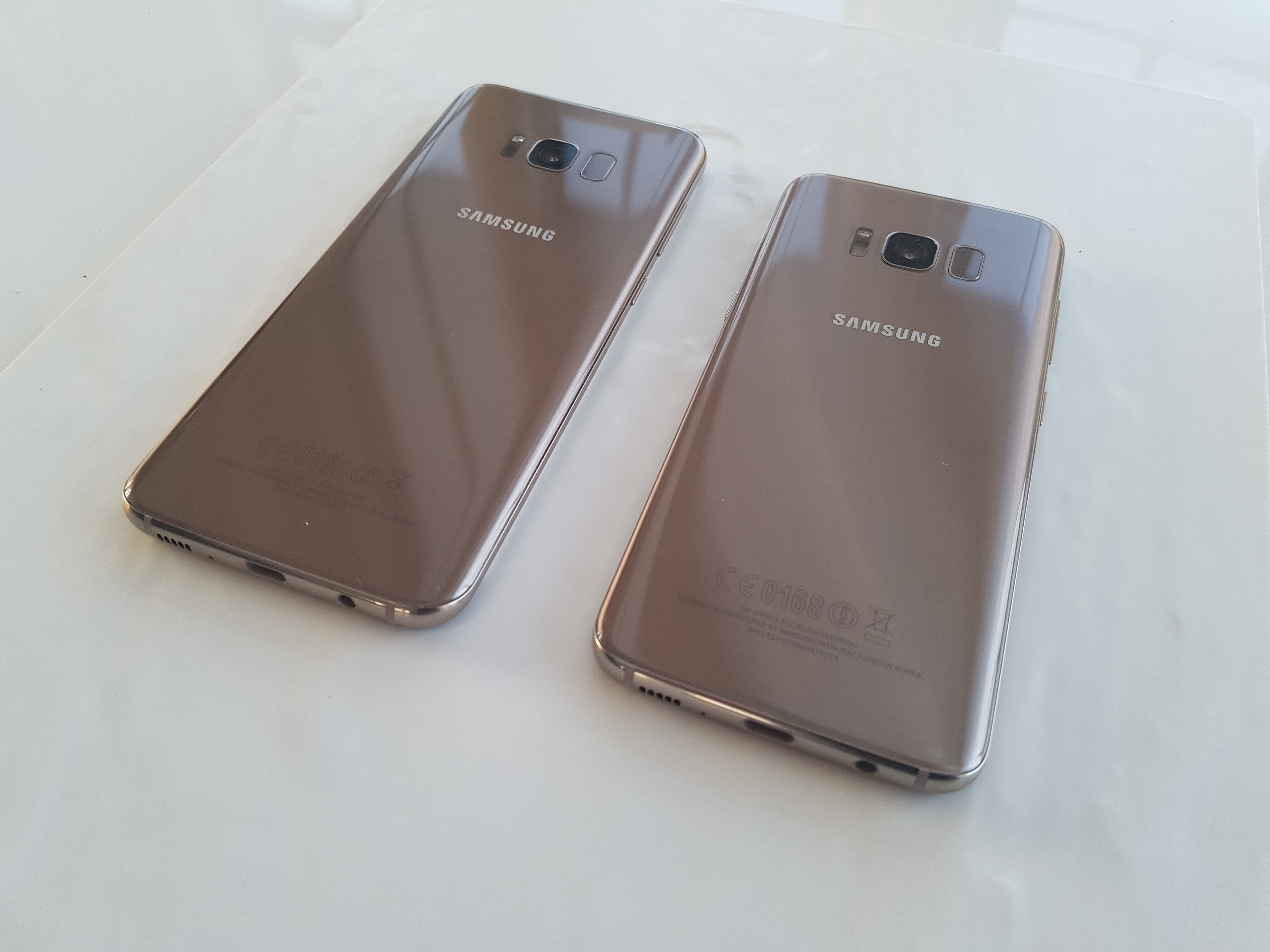 Galaxy S8, S8+ trasera