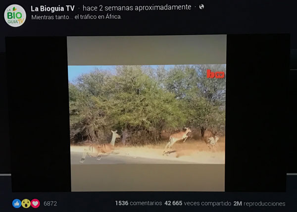 videos de facebook en televisor samsung likes