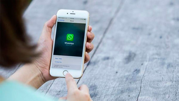 ganar dinero WhatsApp