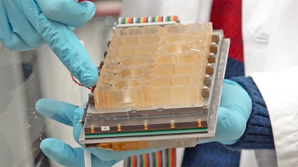 Científicos recrean el ciclo menstrual en un chip