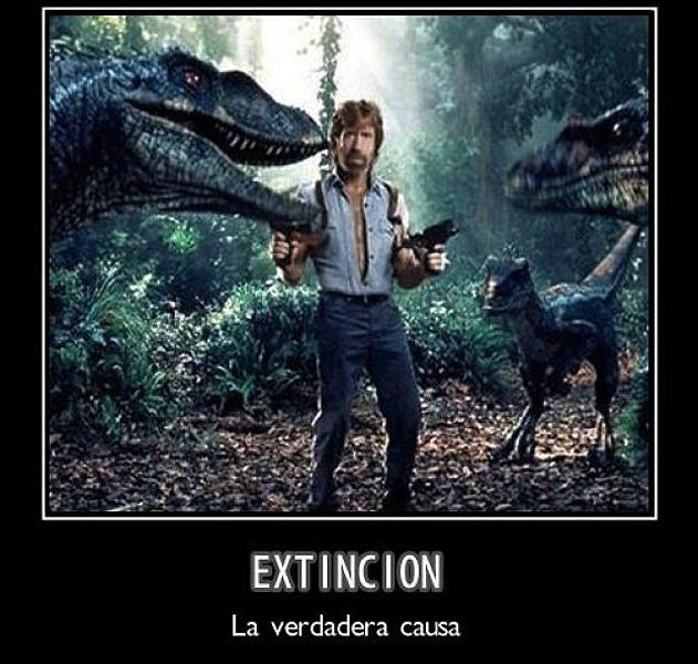 Memes de Chuck Norris